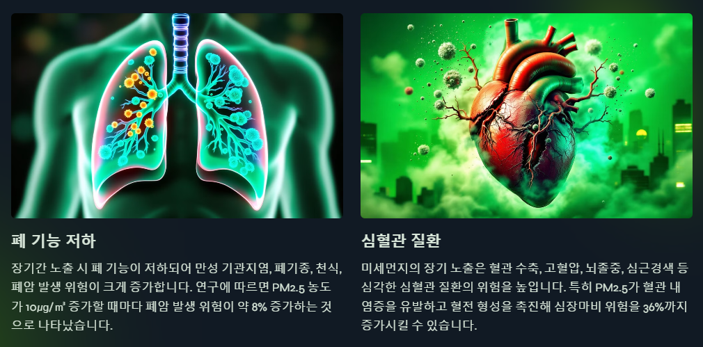미세먼지가 인체에 미치는 장기적 영향