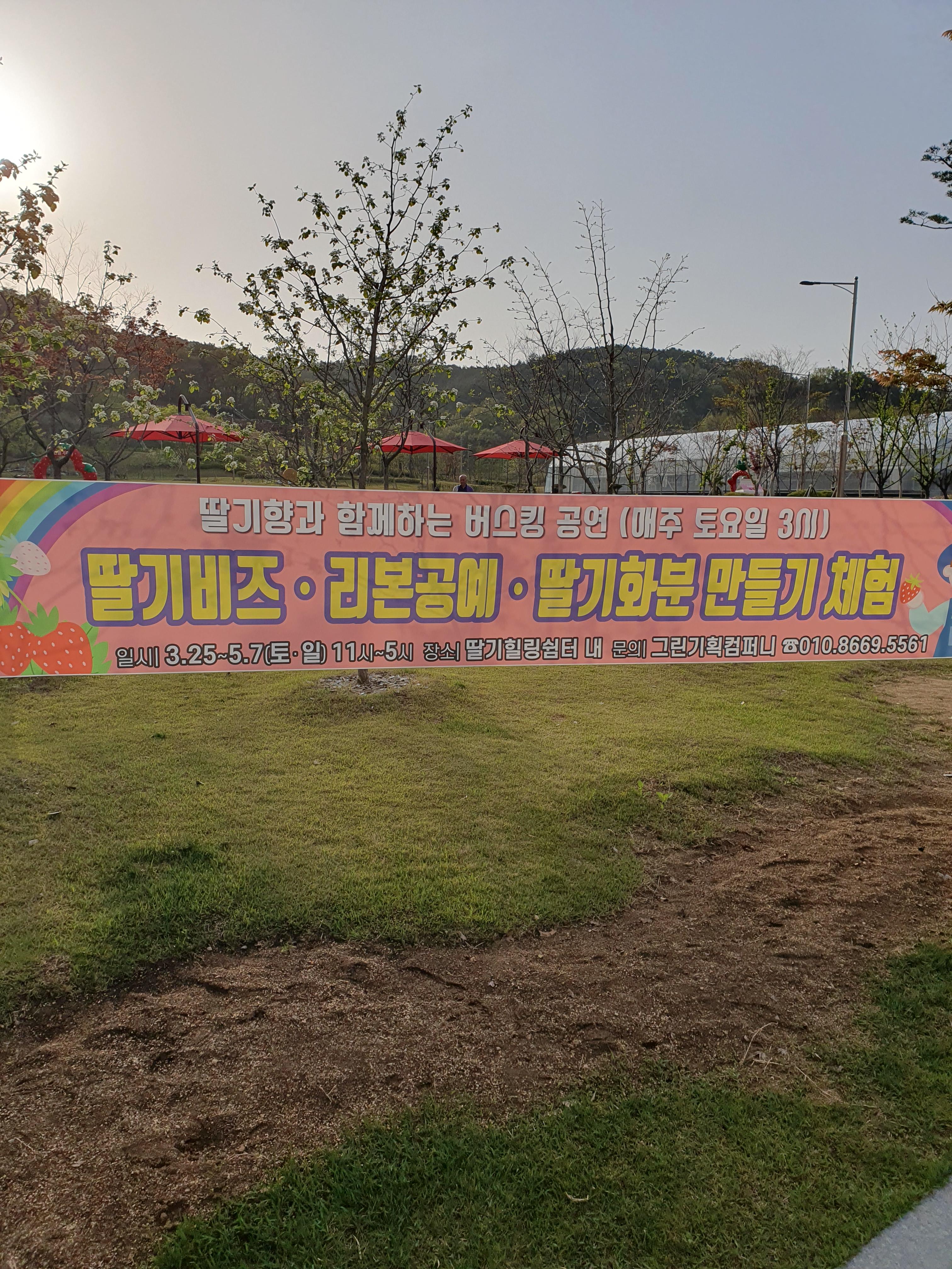 논산 딸기테마공원 체험 안내 및 버스킹 공연