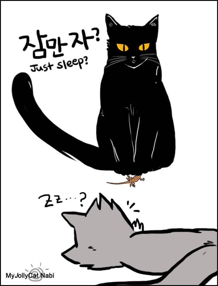 고양이-카툰-1st-그림