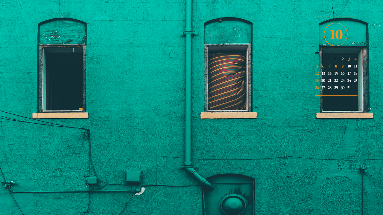 02 짙은 녹색 벽 A - 2025년10월 노트북배경화면