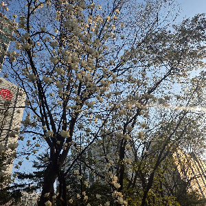 고독을 즐기는 브랜드