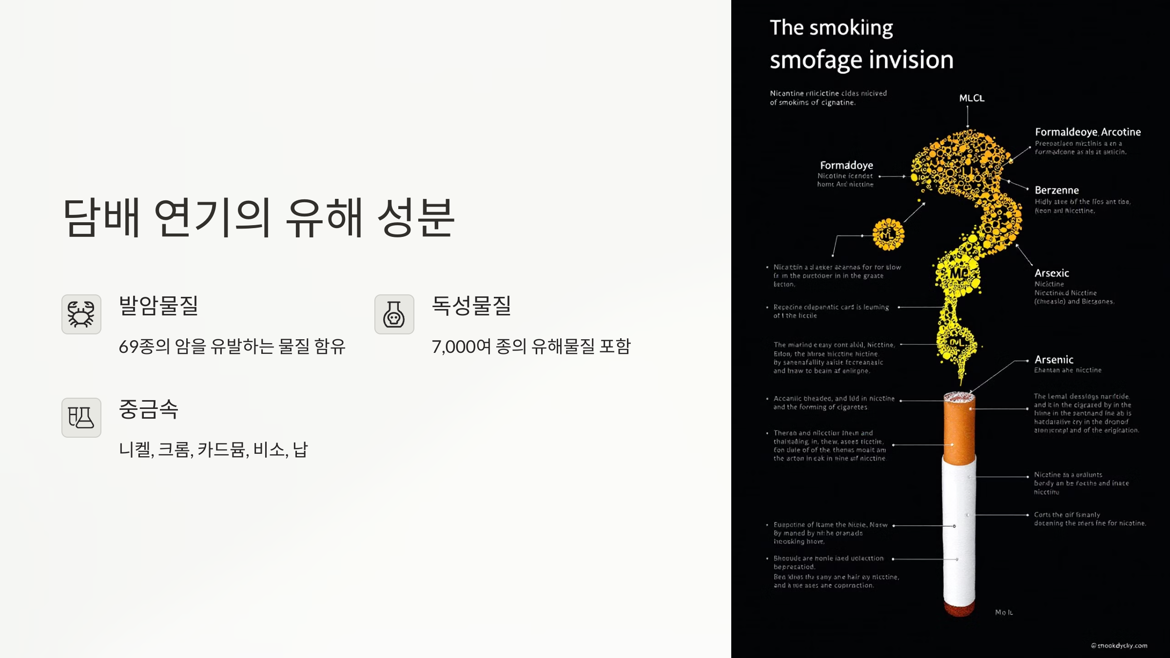 담배 연기의 유해 성분