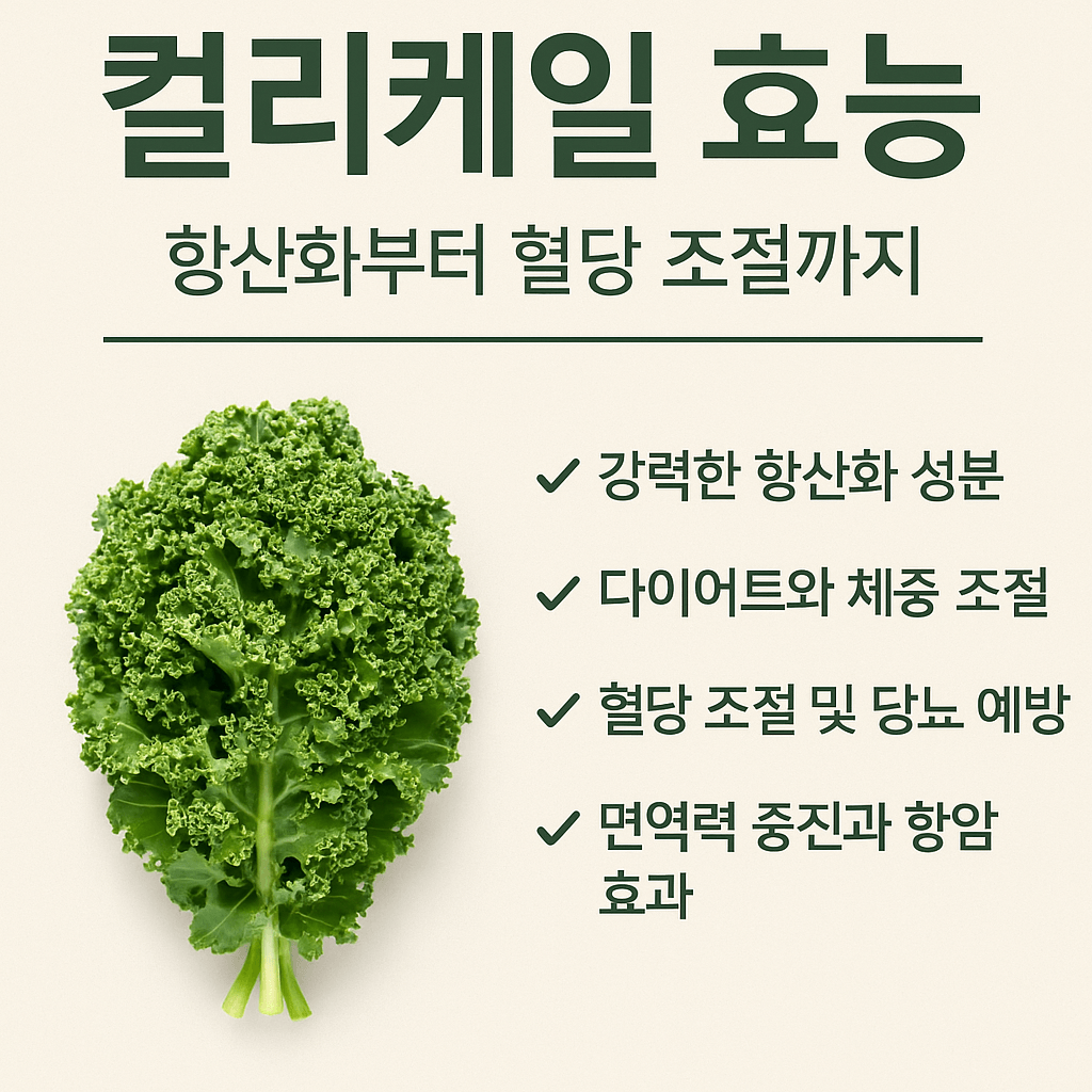 컬리케일의 효능