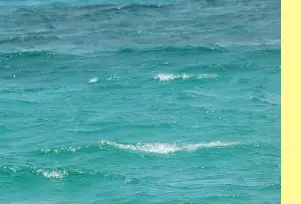 시흥 웨이브파크