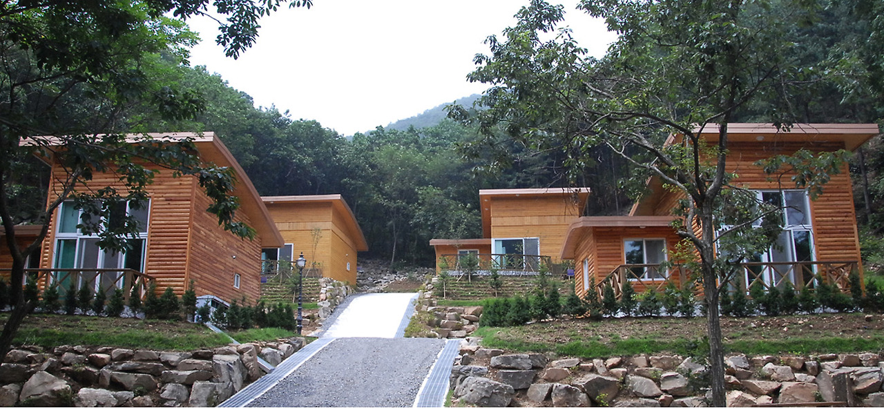 2025 증평인삼골축제&amp;#44;인삼 체험 축제