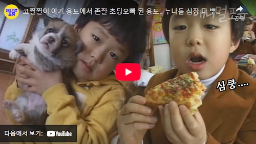 주주클럽 응도 근황