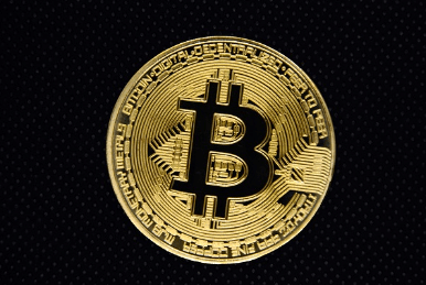 비트코인 하는법