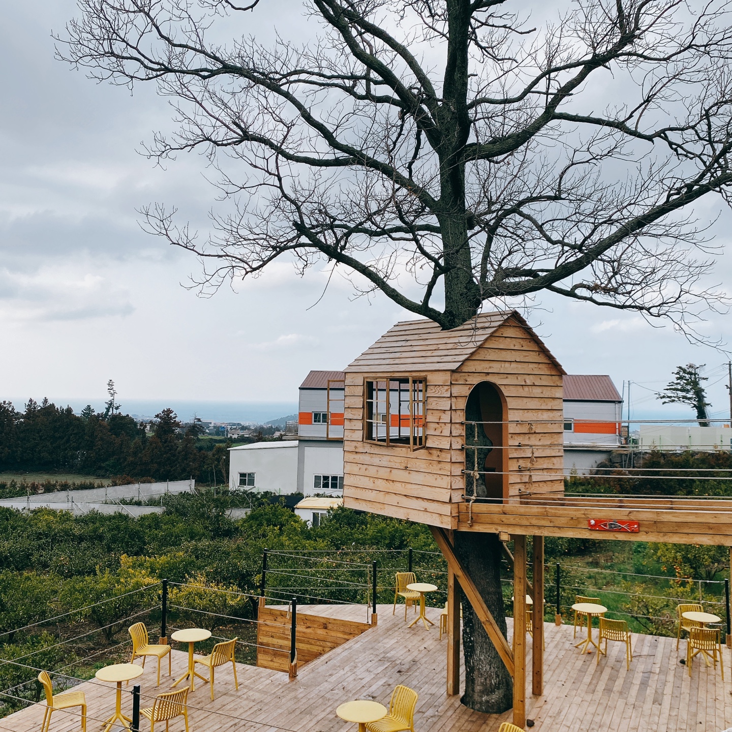 제주 애월 환혼 무수천계곡 트리하우스 웃뜨리 카페