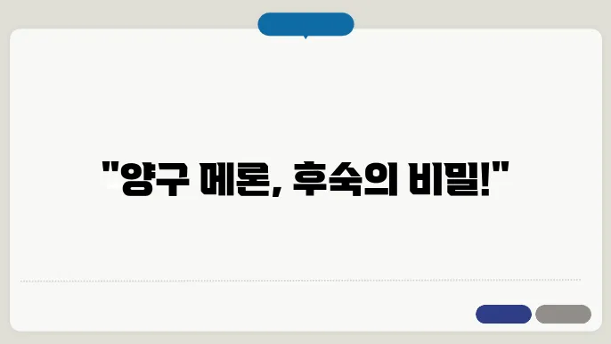 양구 메론 후숙