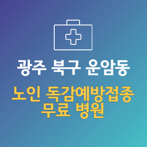 광주 북구 운암동 노인 독감예방접종 무료 병원 (인플루엔자 무료 접종 대상 날짜)