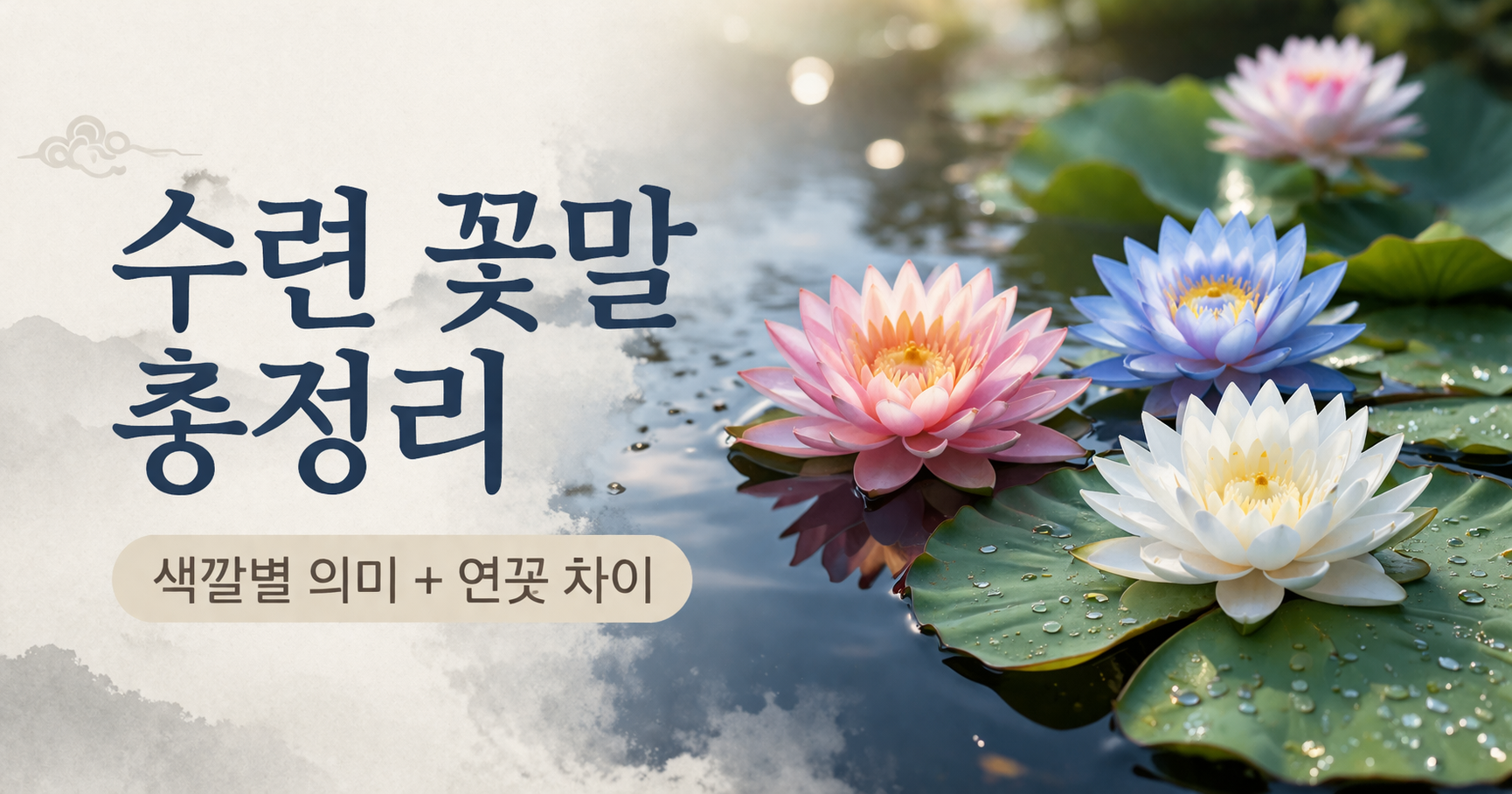 수련 꽃말