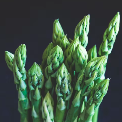 아스파라거스 효능 사랑받는 6가지 고르는법 부작용