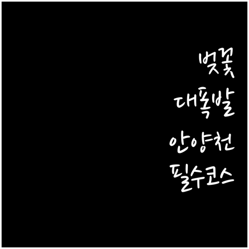 벚꽃비 명소 금천구 안양천 산책로 정..