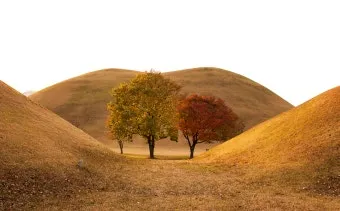 가을 경주 여행 가볼만한곳 베스트 10으로 정리_4