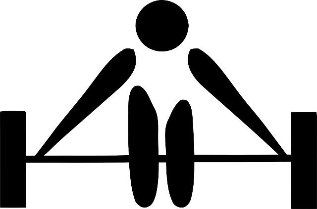 2024-파리-올림픽-출전선수