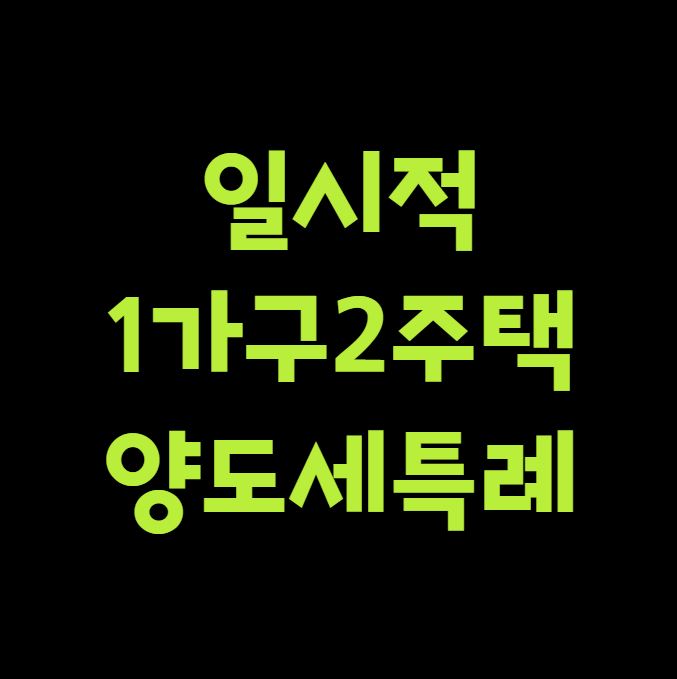 일시적 1가구2주택 양도세 특례