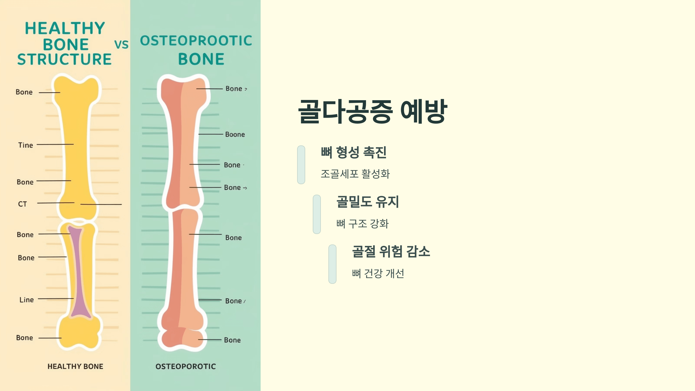 비타민C와 관련된 사진입니다.