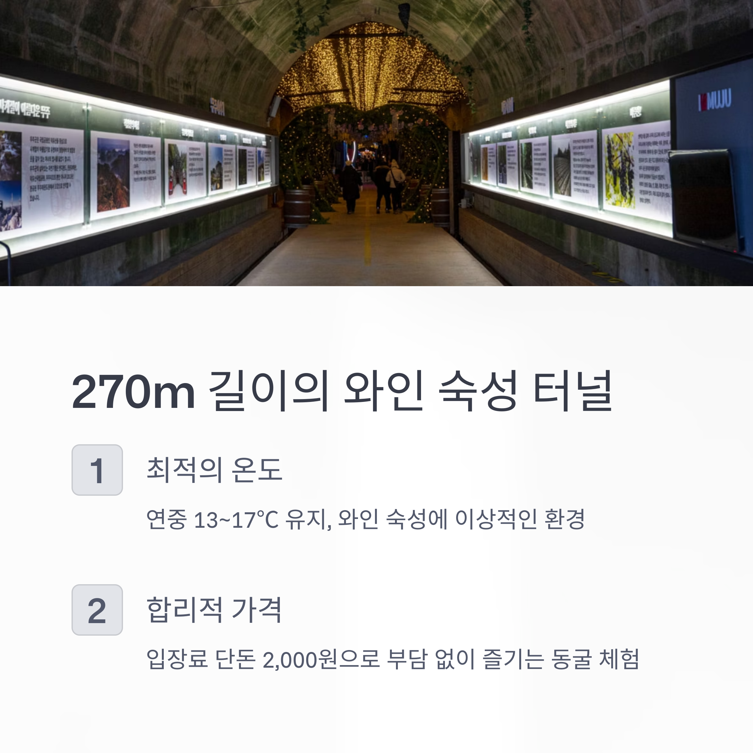 270m 길이의 와인 숙성 터널