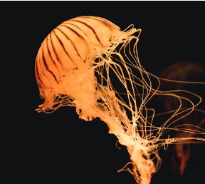 겨울철 타이어 적정 공기압