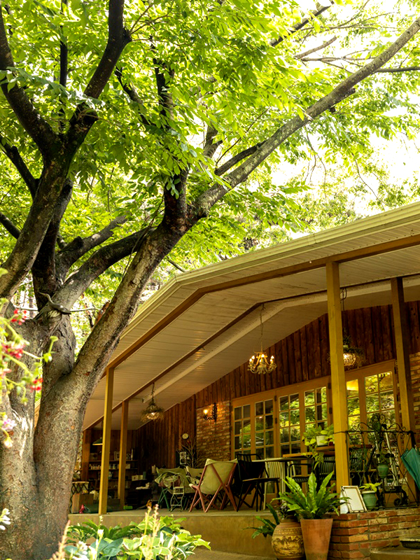 경북 칠곡 시크릿 가든(비밀의 화원)