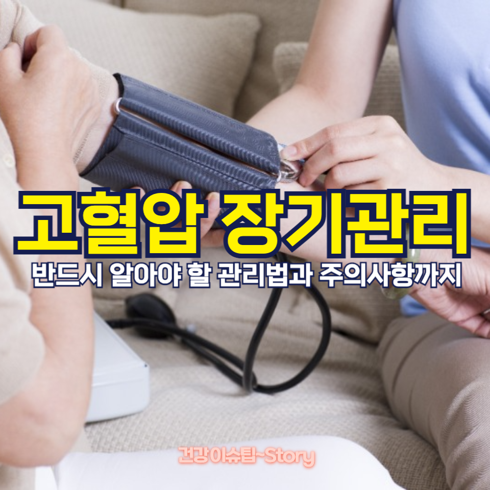 고혈압 장기관리