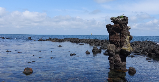 제주-렌터카-추천