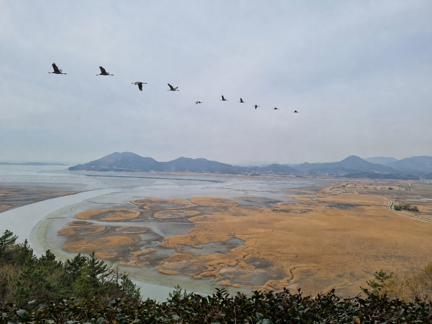 순천만 습지