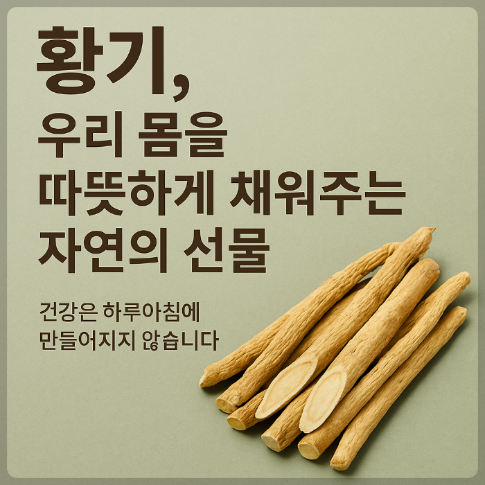 황기, 우리 몸을 따뜻하게 채워주는 자연의 선물