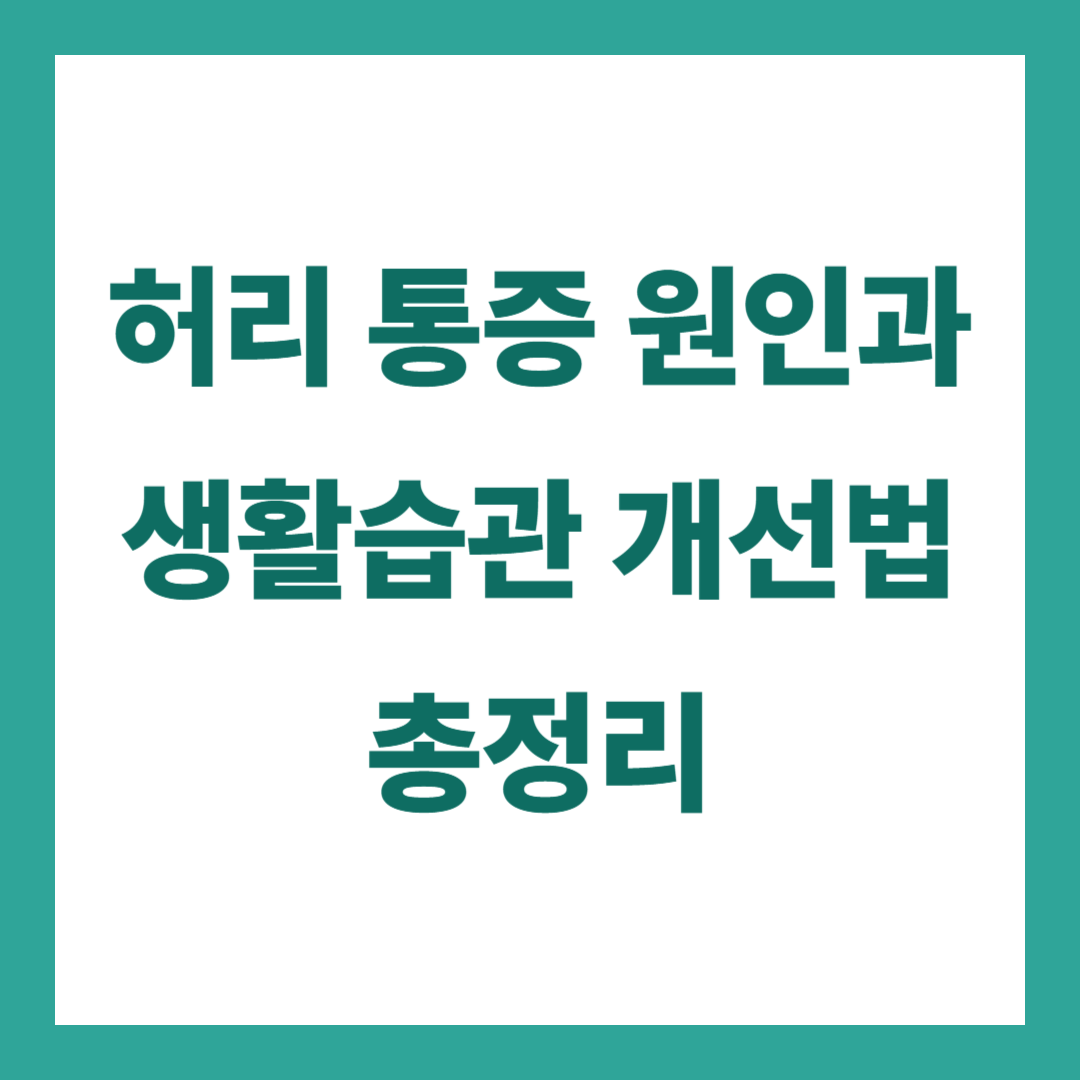 허리 통증 원인과 생활습관 개선법 총정리