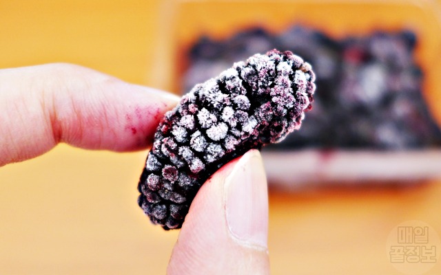 오디 효능, 뽕나무 열매 효능, 당뇨에 좋은 음식, 얼리면 좋은 음식, 얼려 먹으면 좋은 음식,건강 팁줌 매일꿀정보