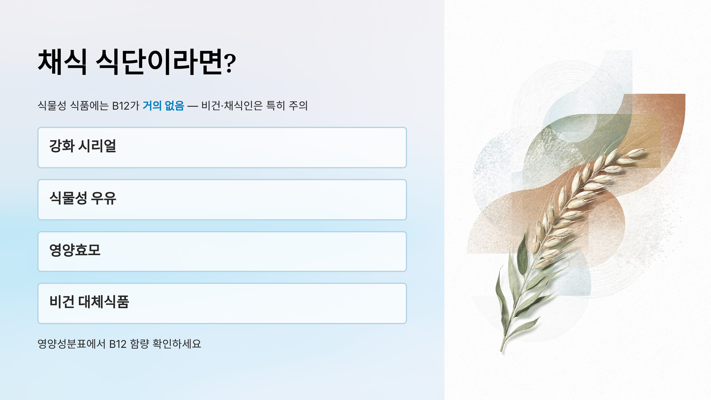 비타민 B12가 많은 음식
