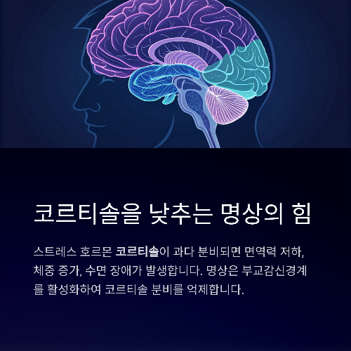 하루 10분, 뇌를 바꾸는 힘! 명상이 스트레스를 줄이는 과학적 이유