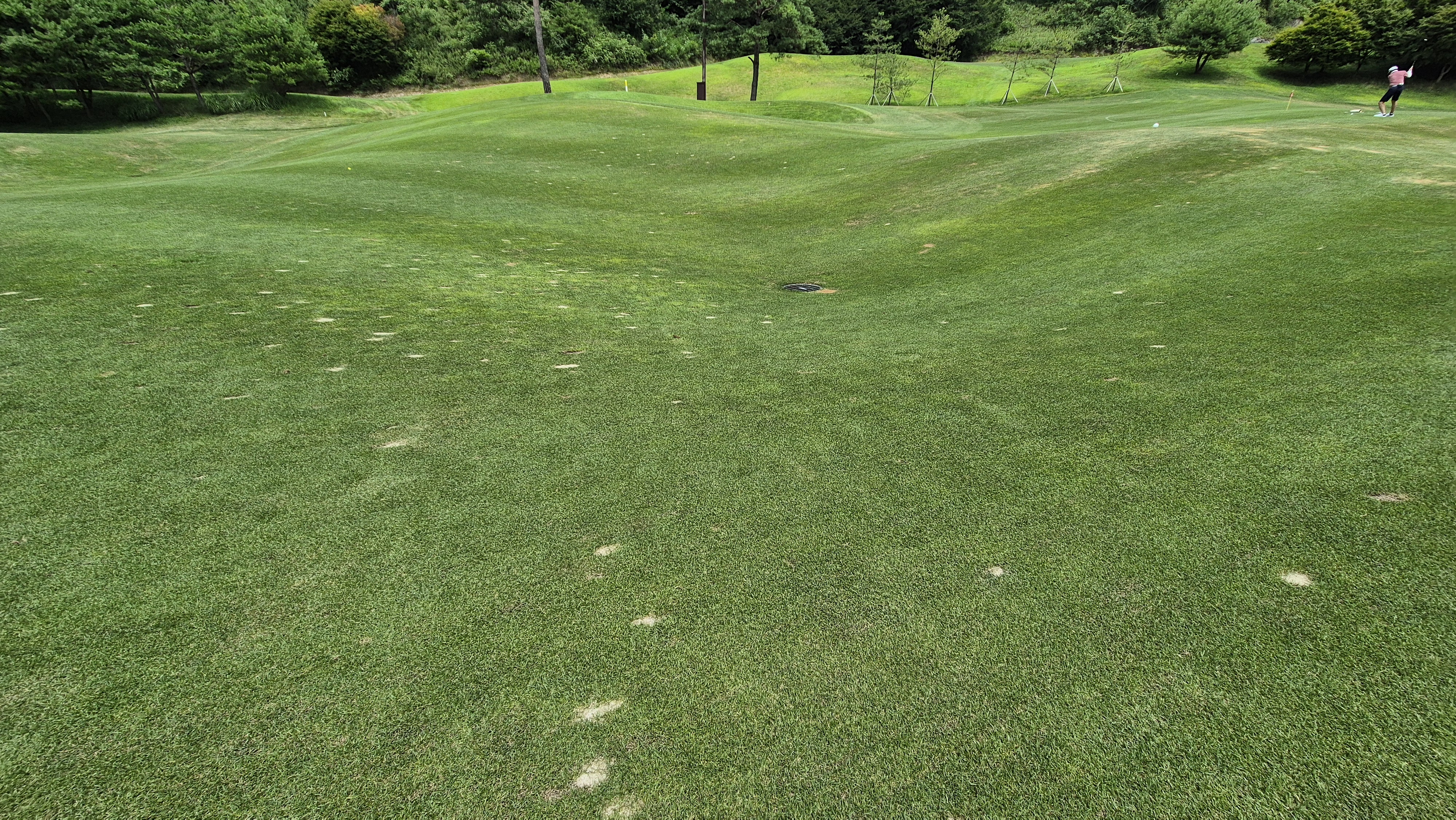 센테리움cc 스코틀랜드-웨일즈 코스 라운드 후기