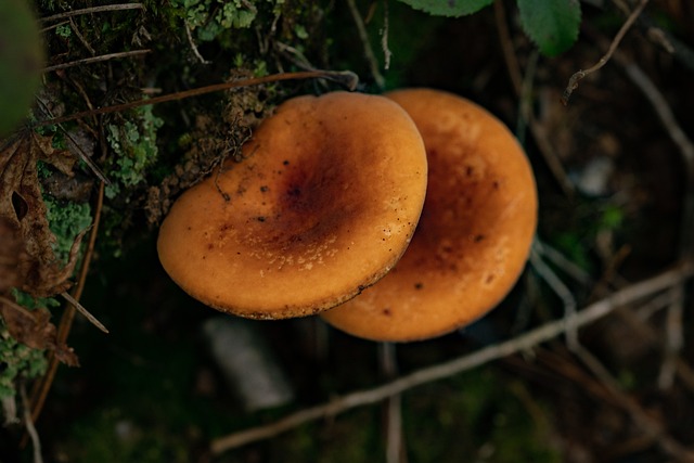 고관절 통증 원인 9