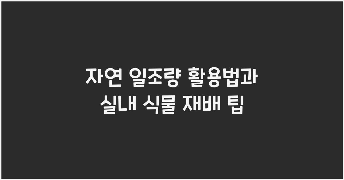자연 일조량 활용법