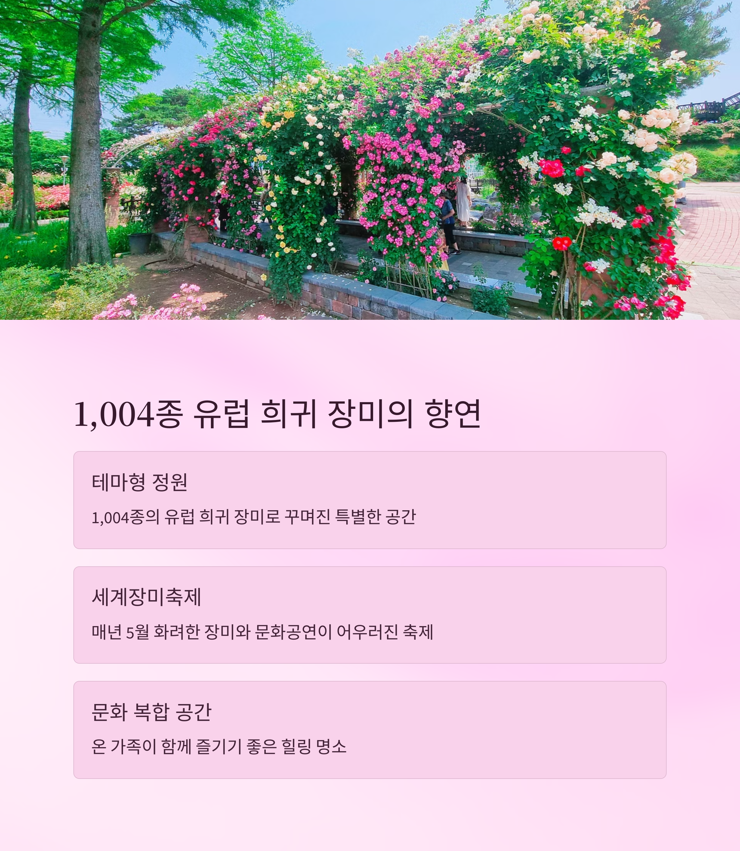 1004종 장미의 향연