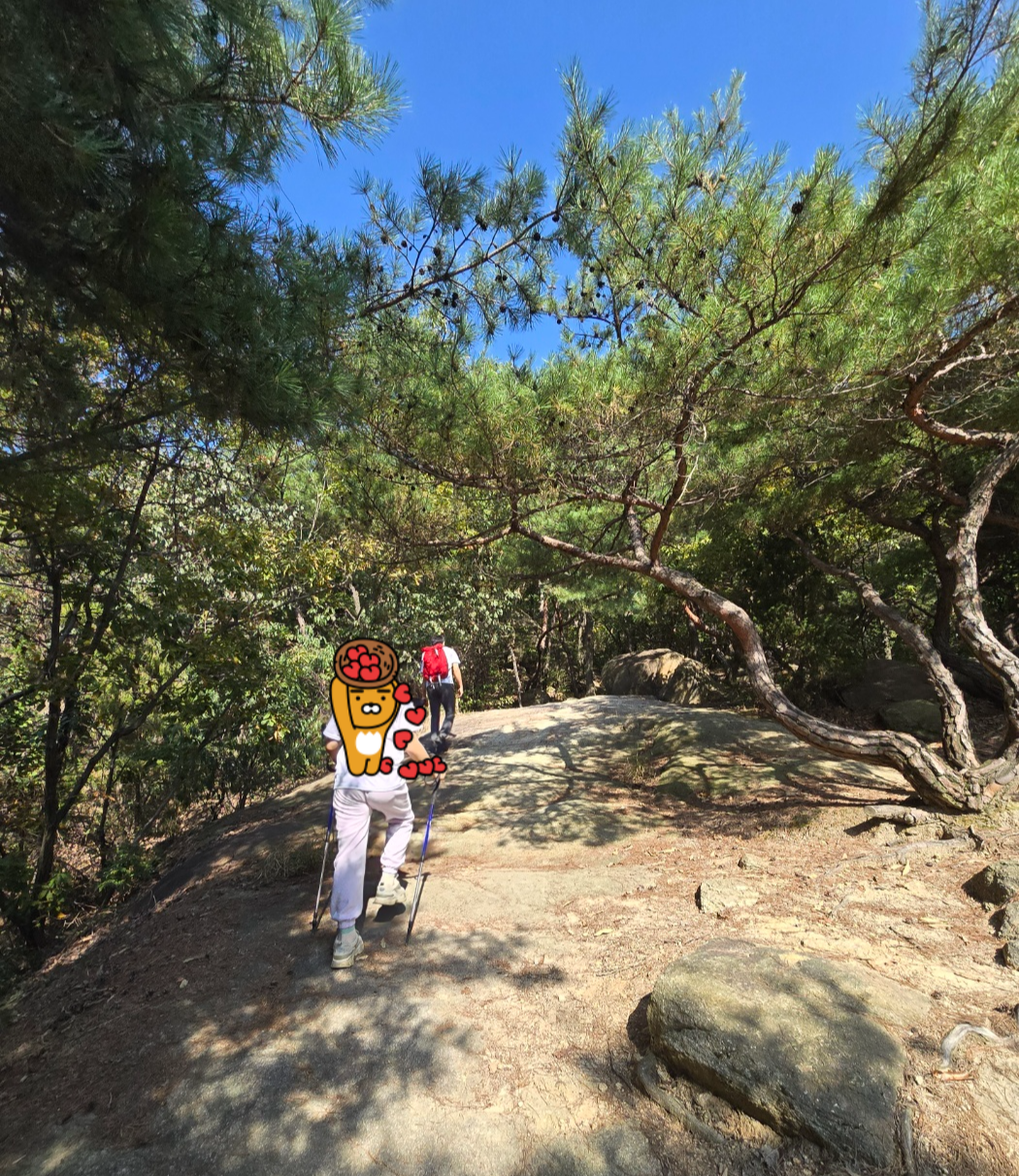 등산중