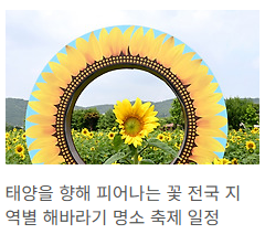 해바라기 명소