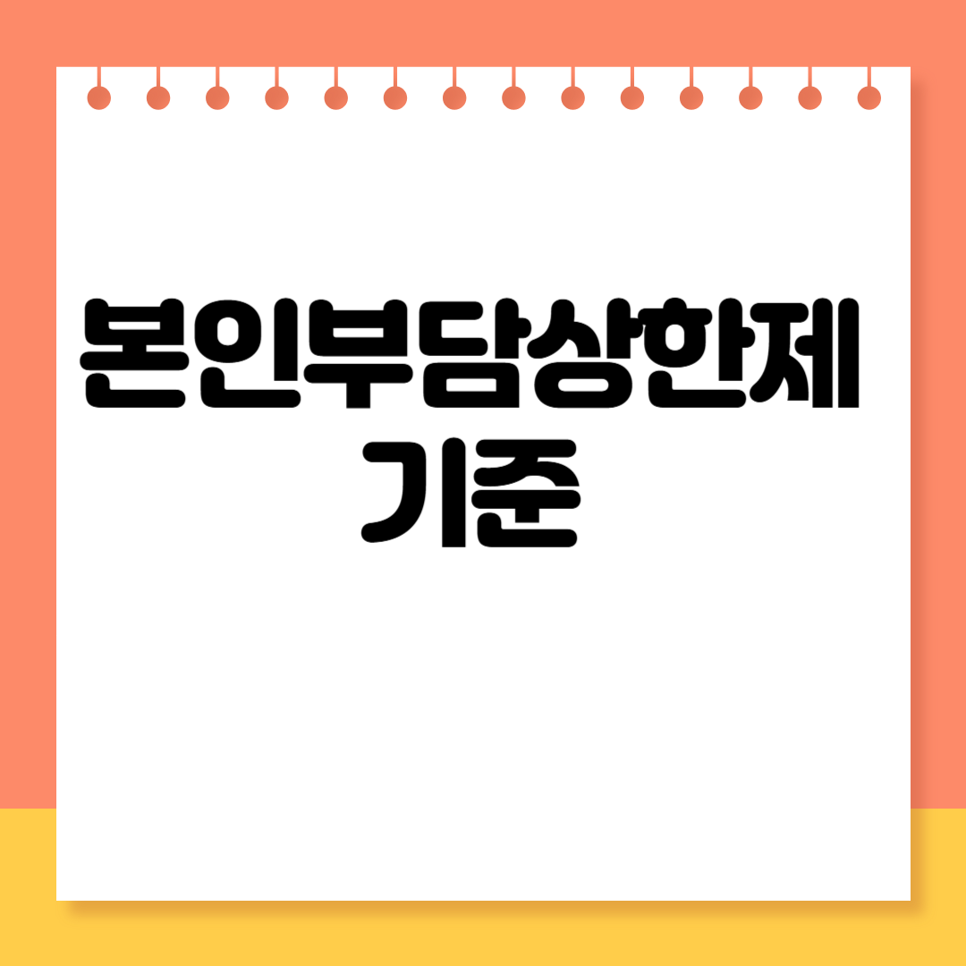 본인부담상한제 기준