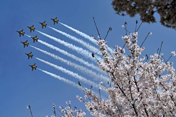 2026 블랙이글스 일정