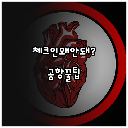 에어로 몽골리아 온라인 체크인 안되는..