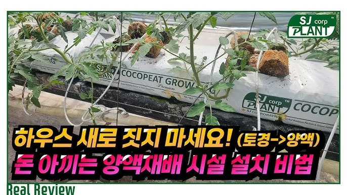 상토 선택 화분심기 초보기준 비료섞는법 안전 가이드_5