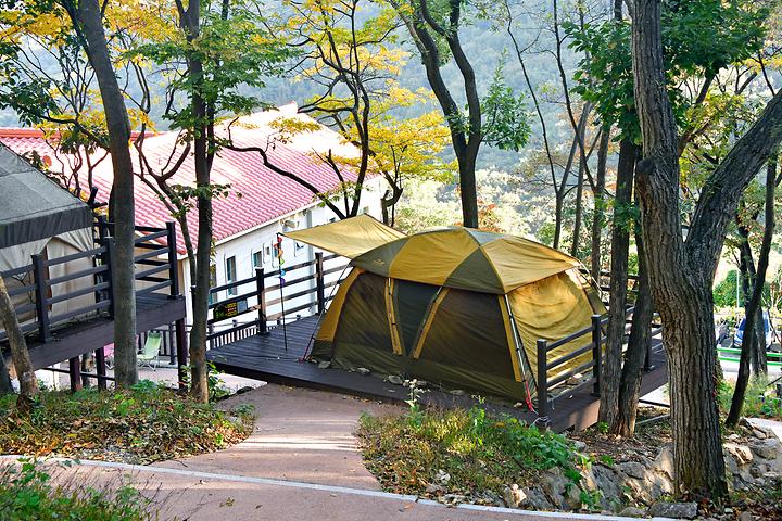 경남 신어산자연숲캠핑장