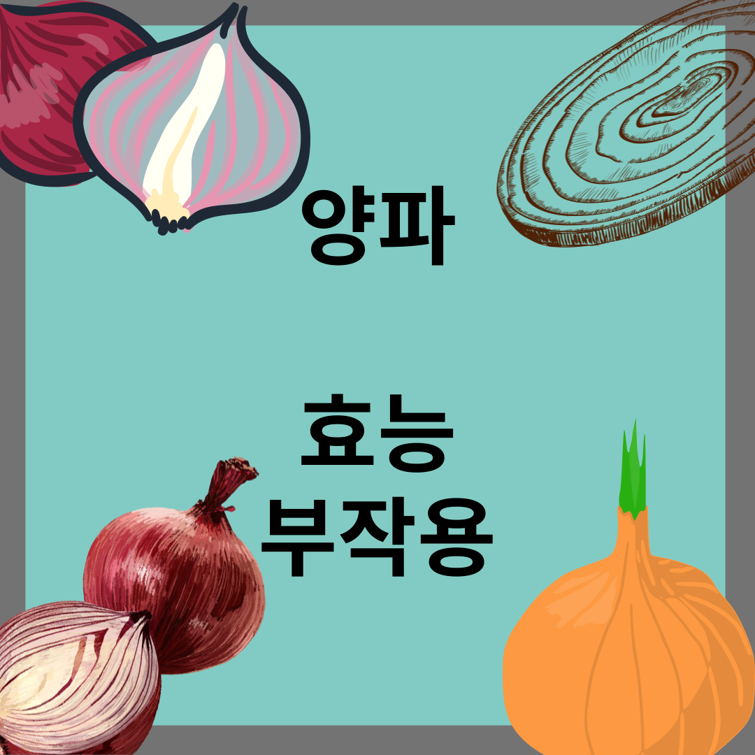 양파 효능10가지