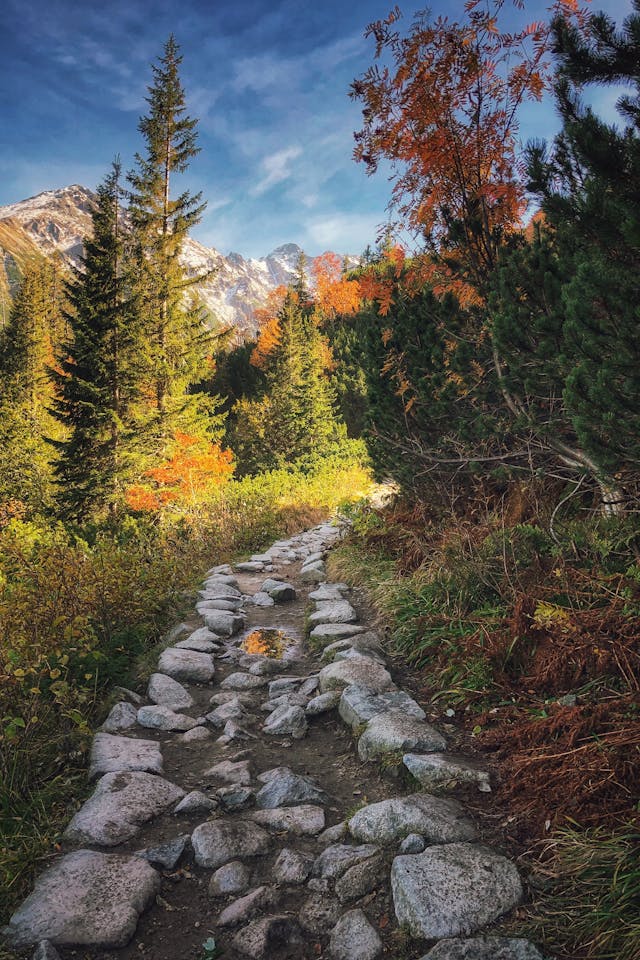 가을 연인 단풍 데이트 코스