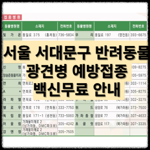 광견병 예방접종 백신 무료 안내