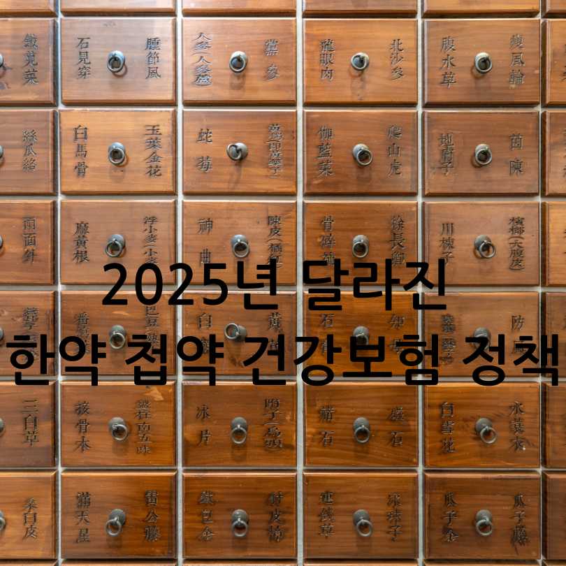 2025년 달라진 한약 첩약 건강보험 정책