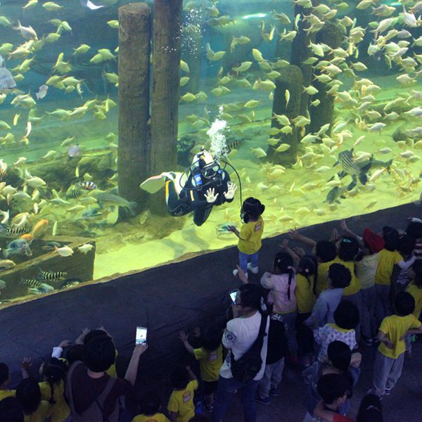 대전 아쿠아리움