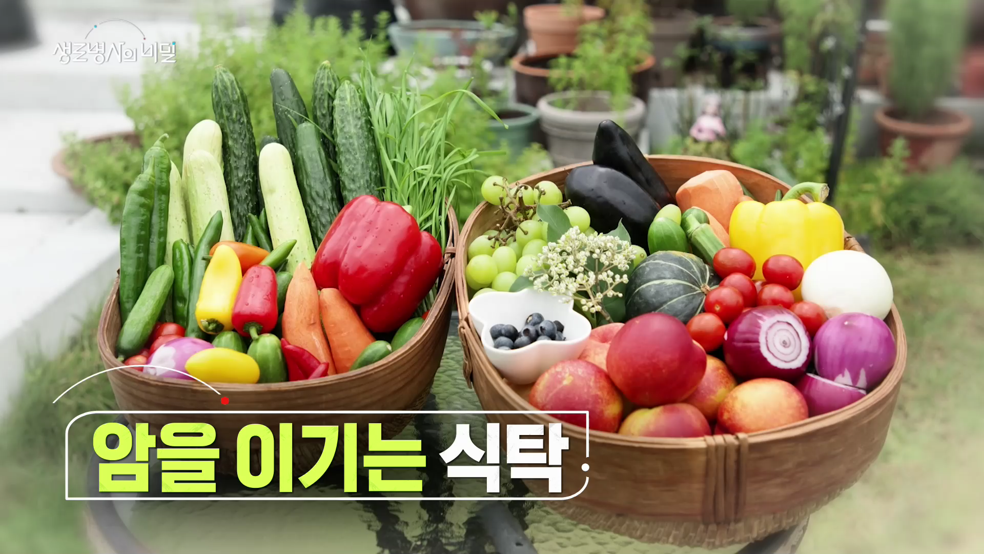생로병사의 비밀 암을 이기는 식탁