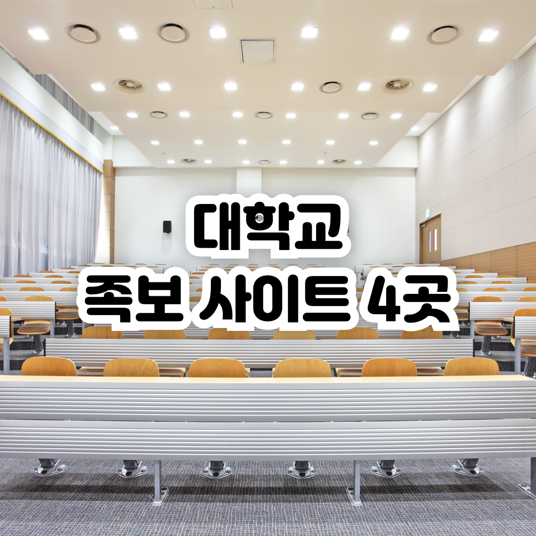 대학교-족보-사이트